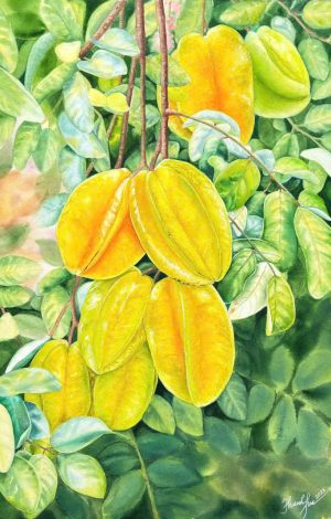 Ngũ Liễm Tử - Tranh màu nước trên giấy của họa sĩ Thanh Hà