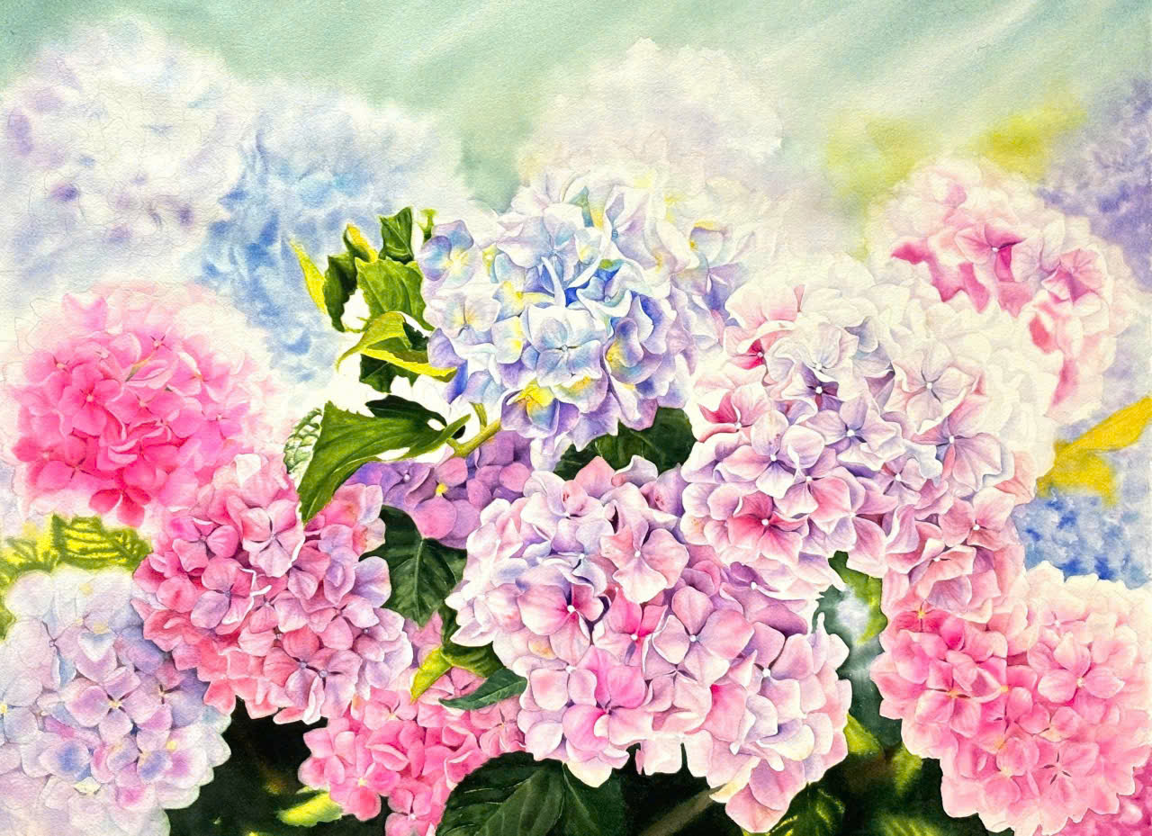 Cẩm Tú Cầu- Tranh màu nước trên giấy của họa sĩ Thanh Hà